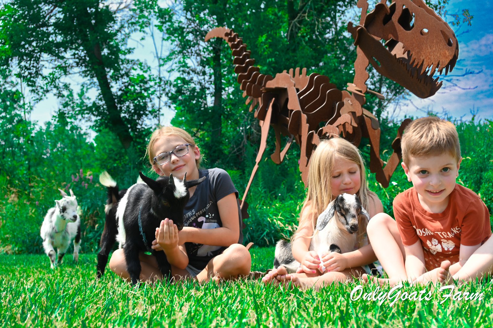 Why You’ll Love Having Goats at Your Birthday Party (or Any Event!)